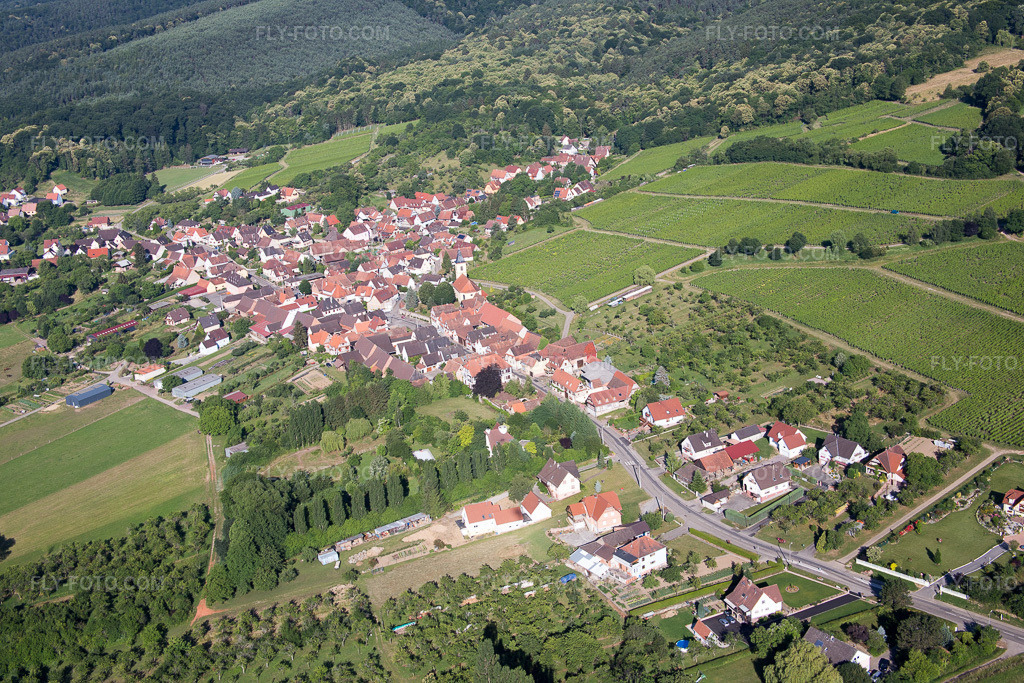 Aerial view: View of the town in Rott in the state Bas-Rhin, France.Photo: IMG_083008.jpg taken on 06/26/2015 by Werner Riehm/FLY-FOTO.comResolution of the original: 5472 x 3648 px