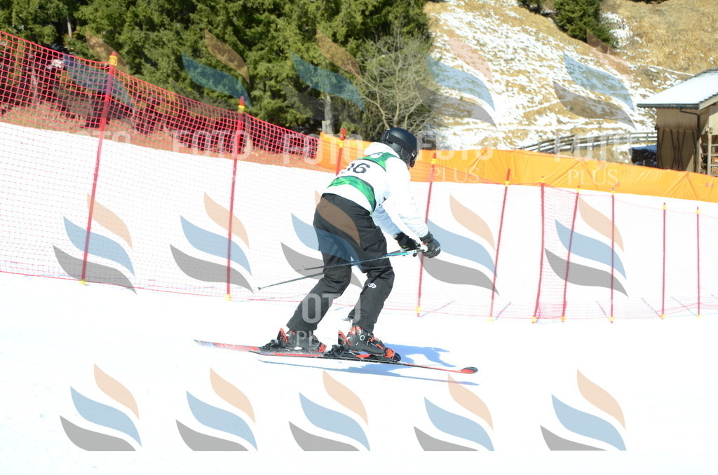 C6575 | holidayphoto