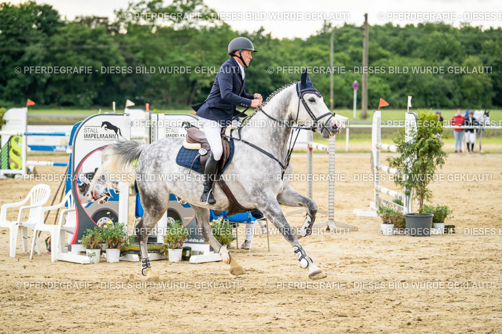 DSC06873 | Pferdegrafie