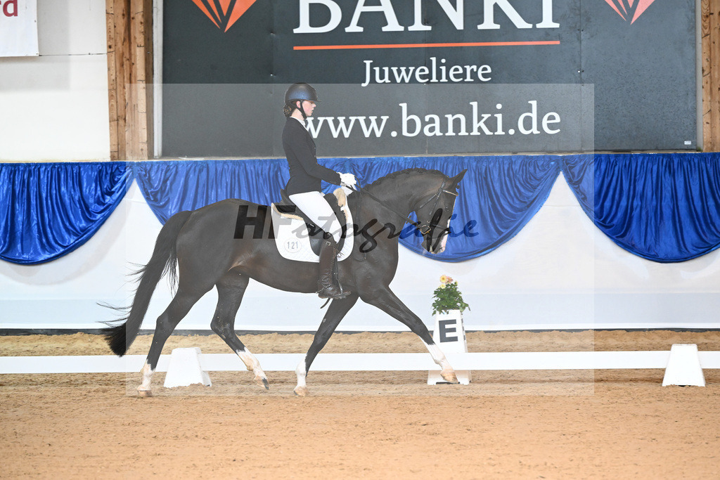 Kat-Nr. 76 First Lady_Jamieson_Kat-Nr. 121 Roma_Scherer_14240075 | hf-fotografie - Realisiert mit Pictrs.com