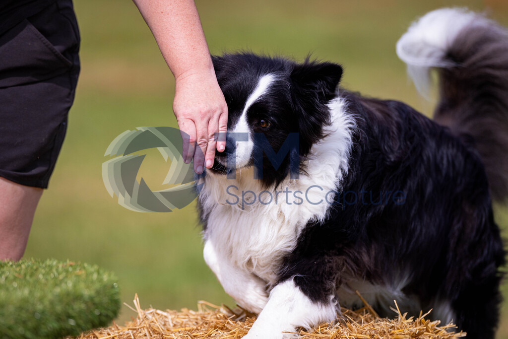 TP-20240815-0108 | Copyright: Trainproduction / Matthias Trinkl