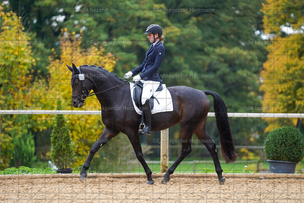 20221008-FAH01470 | Diessen am Ammersee, 2022, Dressur- und Springturnier, Reitsportbilder, Turnierfotografen Bayern, Pferdefotografen, Fotoagentur Herrmann, Turnierbilder