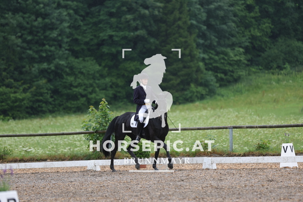 0P6A9412 | Willkommen bei Brunnmayr - Design & Fotografie – Ihrem Spezialisten für Reitturniere und Pferdeveranstaltungen in Oberösterreich, Salzburg und Bayern! Seit über 17 Jahren sind wir leidenschaftlich dabei.