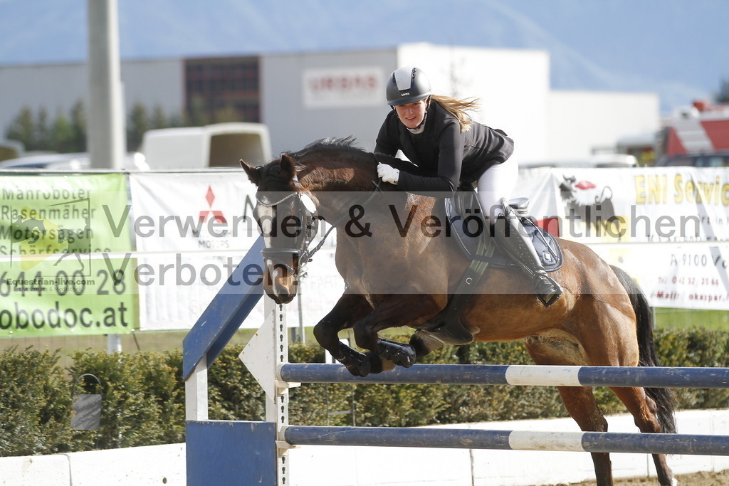 _MG_6957 | equestrian-live-com