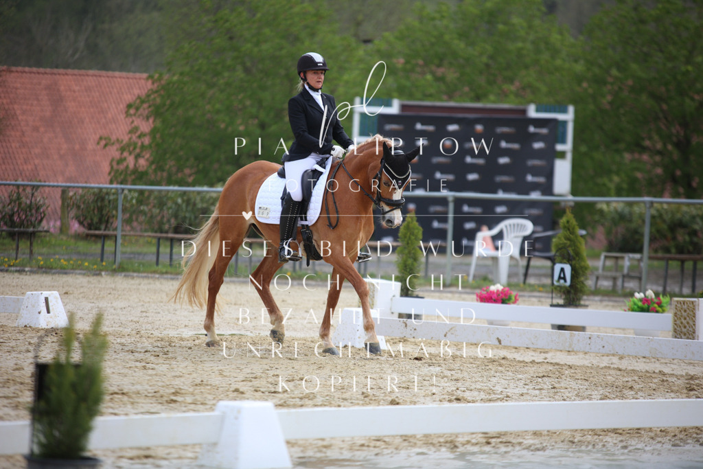 IMGT5607 | pl-fotografie