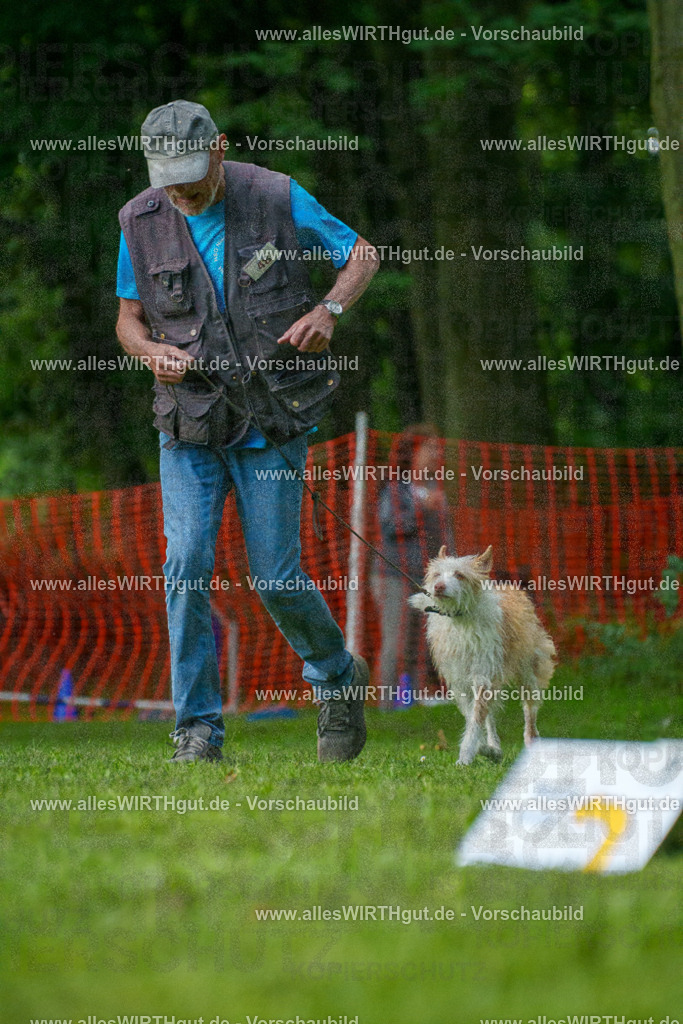 @allesWIRTHgut_Tierfotografie - www.allesWIRTHgut.de - 7R505496 | Professionelle Tierfotografie in Mönchengladbach von Daniel Wirth (allesWIRTHgut). Liebevolle & natürliche Bilder von Hunden & Katzen für unvergessliche Erinnerungen.