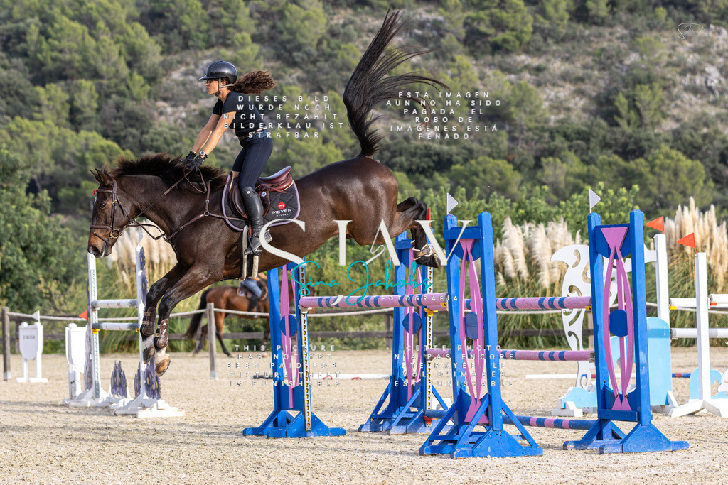 IMG_4696 | s-jay-photography - Realisiert mit Pictrs.com