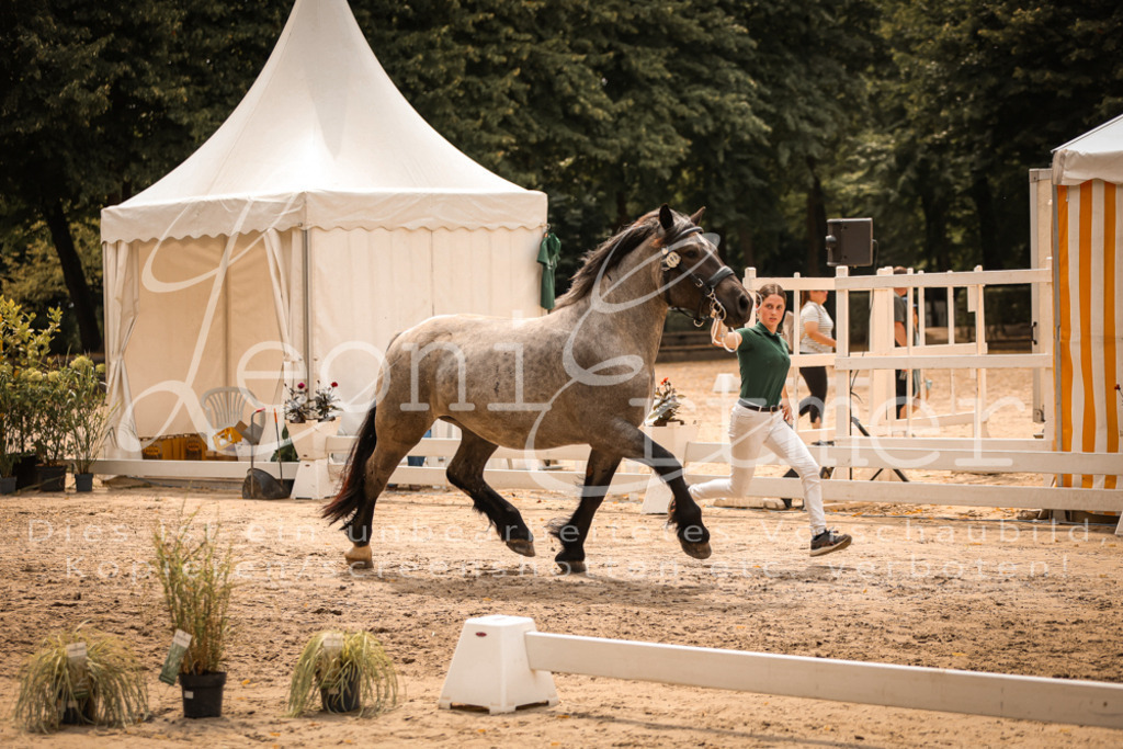 4.Sa00029 | Leoni Ertmer Photography - Realisiert mit Pictrs.com