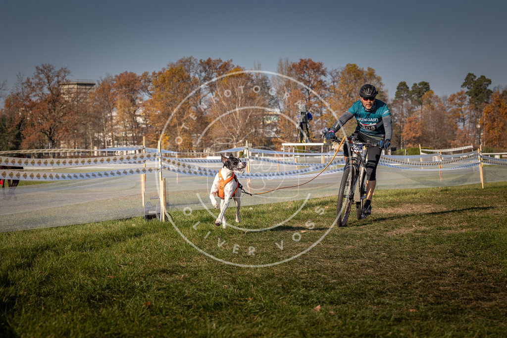 CaniXpix_0L8A7484 | Hundefotografie, Tierfotograf, Pfotenfotografie, Fotoshooting Hund, Hunde Portrait, Hundesport, Hundeportraits, Heideshooting, Hunde, Sportfotograf, Hundefotograf, Turnierhundsport, THS,  - Realisiert mit Pictrs.com