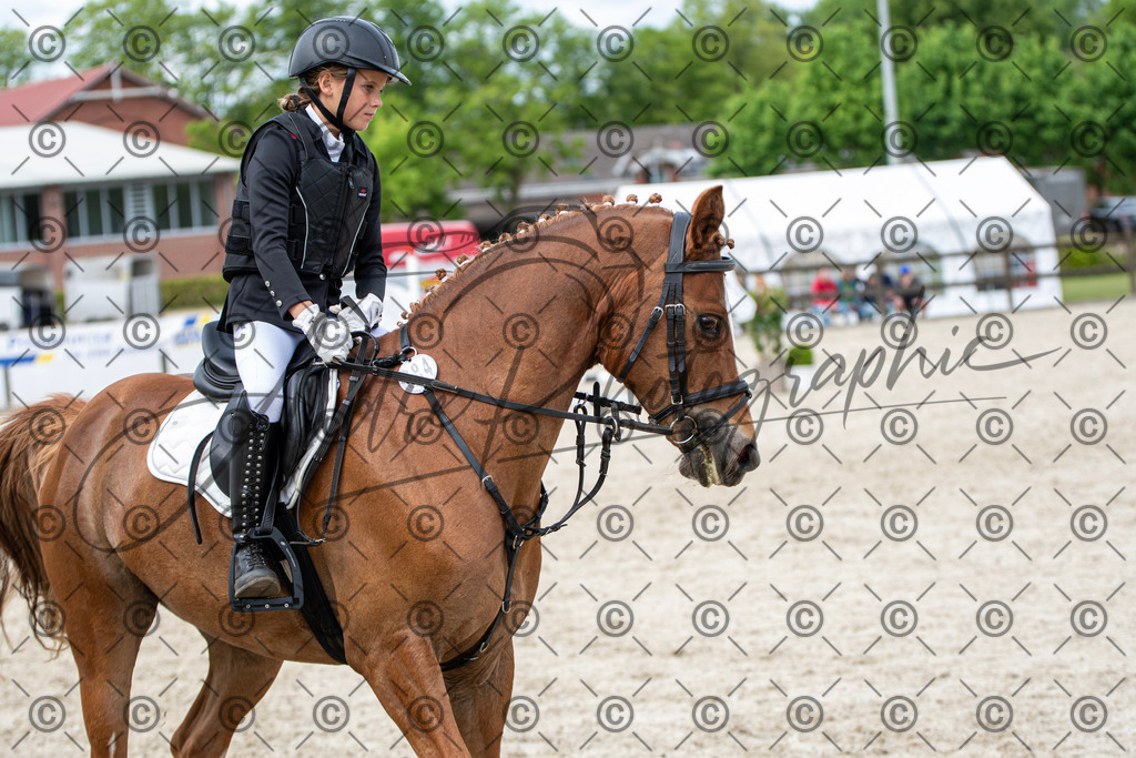 KPT_6017 | andre_photographic