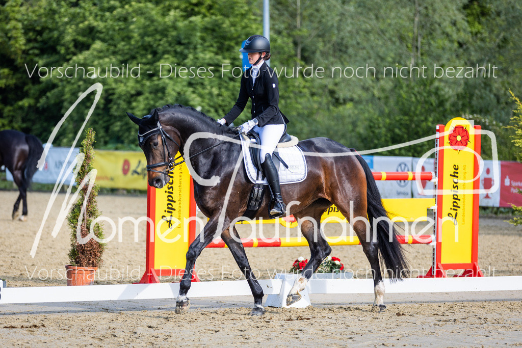 Donop24-A-Dre-056 | MomenTaufnahmen Pferdesportfotos