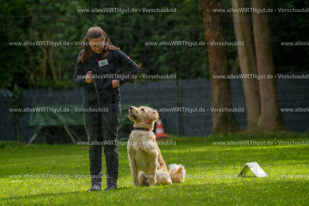 @allesWIRTHgut_Tierfotografie - www.allesWIRTHgut.de - 7R501602 | Professionelle Tierfotografie in Mönchengladbach von Daniel Wirth (allesWIRTHgut). Liebevolle & natürliche Bilder von Hunden & Katzen für unvergessliche Erinnerungen.