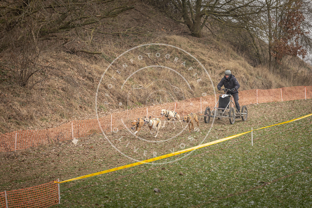 Pfotenfotografie_DV3A8065 | Hundefotografie, Tierfotograf, Pfotenfotografie, Fotoshooting Hund, Hunde Portrait, Hundesport, Hundeportraits, Heideshooting, Hunde, Sportfotograf, Hundefotograf, Turnierhundsport, THS,  - Realisiert mit Pictrs.com