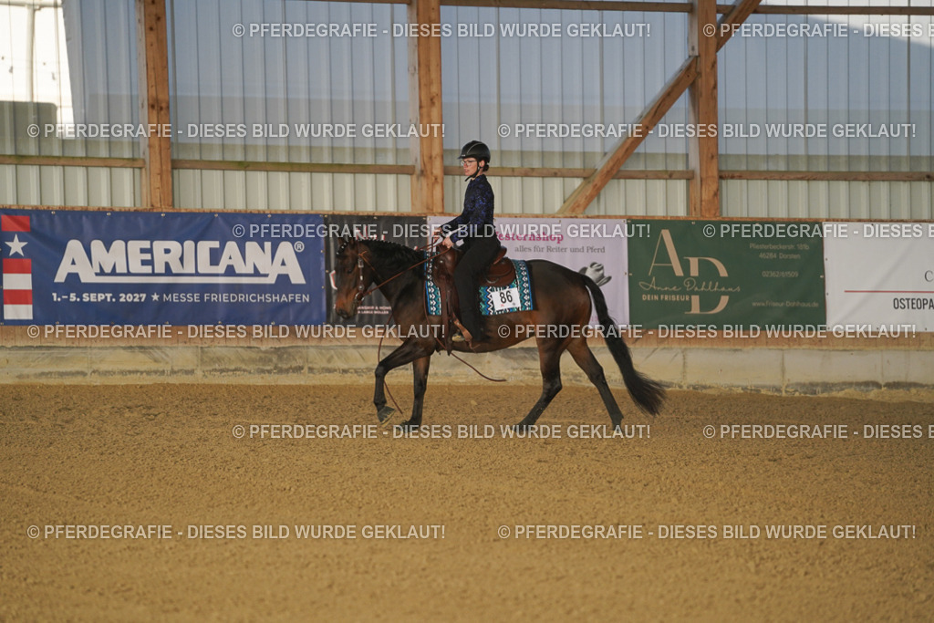 DSC08164 | Pferdegrafie