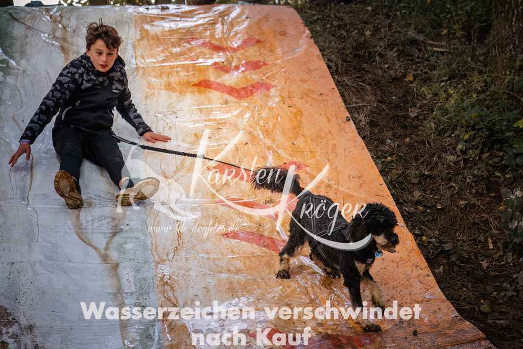 1042_ZZ94274 | kk-dogfotos