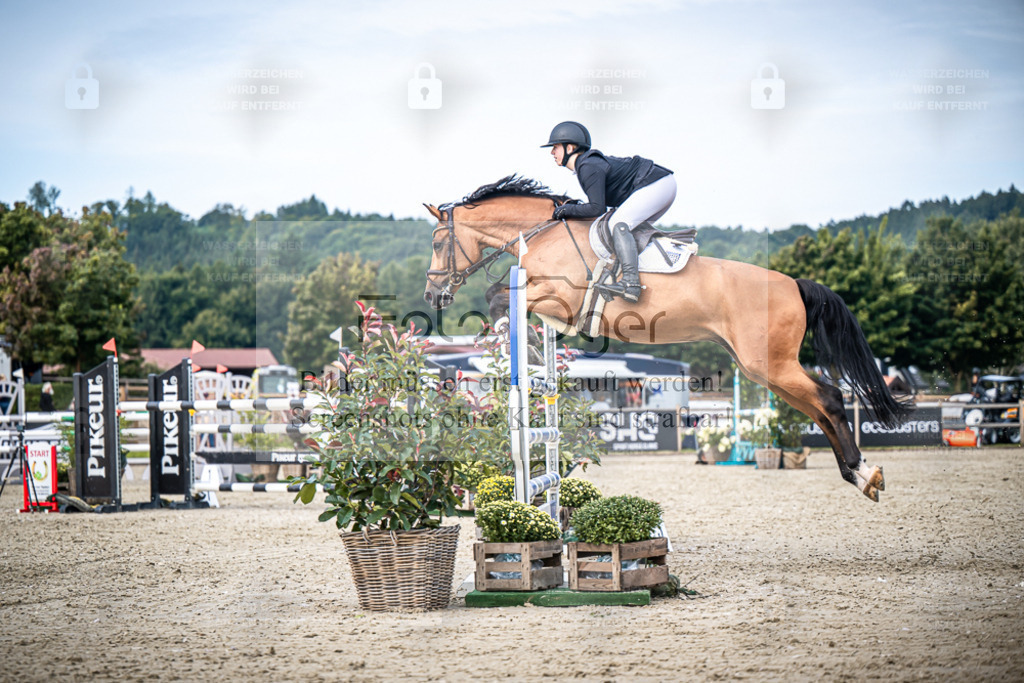 DOS_7424 | Entdecke hochwertige Reitturnierfotos von Foto Oger. Professionell, emotional und authentisch – jetzt Lieblingsmomente im Shop bestellen. - Realisiert mit Pictrs.com