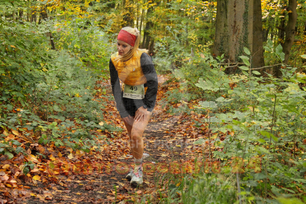 251026_1247_EV4_5823 | Sportfotografie im Rhein-Sieg Kreis, Köln, Bonn, NRW, Rheinland Pfalz, Hessen, etc. Unser Tätigkeitsfeld umfasst den Laufsport vom Volkslauf über den Marathon, Duathlon, Triathon bis zum Ultralauf wie Kölnpfad Ultra oder Schindertrail.