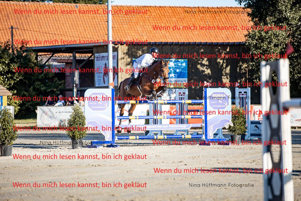 BK1A8412 | Turnierbilder Turnierfotos Nina Hüffmann Turnierfotografie Pferdefotografie Tierzeichnung Haustierzeichnung Pferdezeichnung Hundezeichnung Videograf  - Realisiert mit Pictrs.com