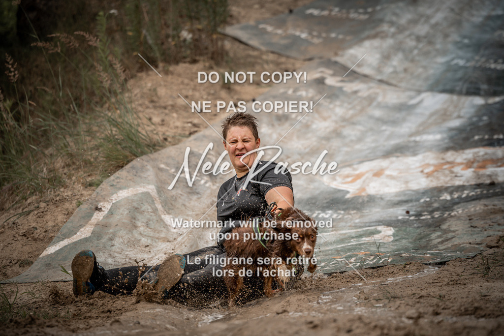nelerasche_sa1000-1100_136 | nelerasche