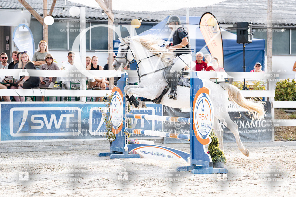 CK906496 | Turnierfotografie Pferdefotografie Trier Rheinland-Pfalz Pferdesport Reitsport Tierfotografie Sportfotografie Pferdevideo Pferdevideografie Equestrianvideography equestrianphotography  - Realisiert mit Pictrs.com