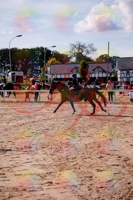 2026_10_03_Siefer-Hof_143827_Z81_08872964 | Professionelle Reitsport-, Turnier- und Eventfotografie von Robert Broda. Galerien mit ausgewählten und bearbeiteten Bildern direkt online ansehen und bestellen.