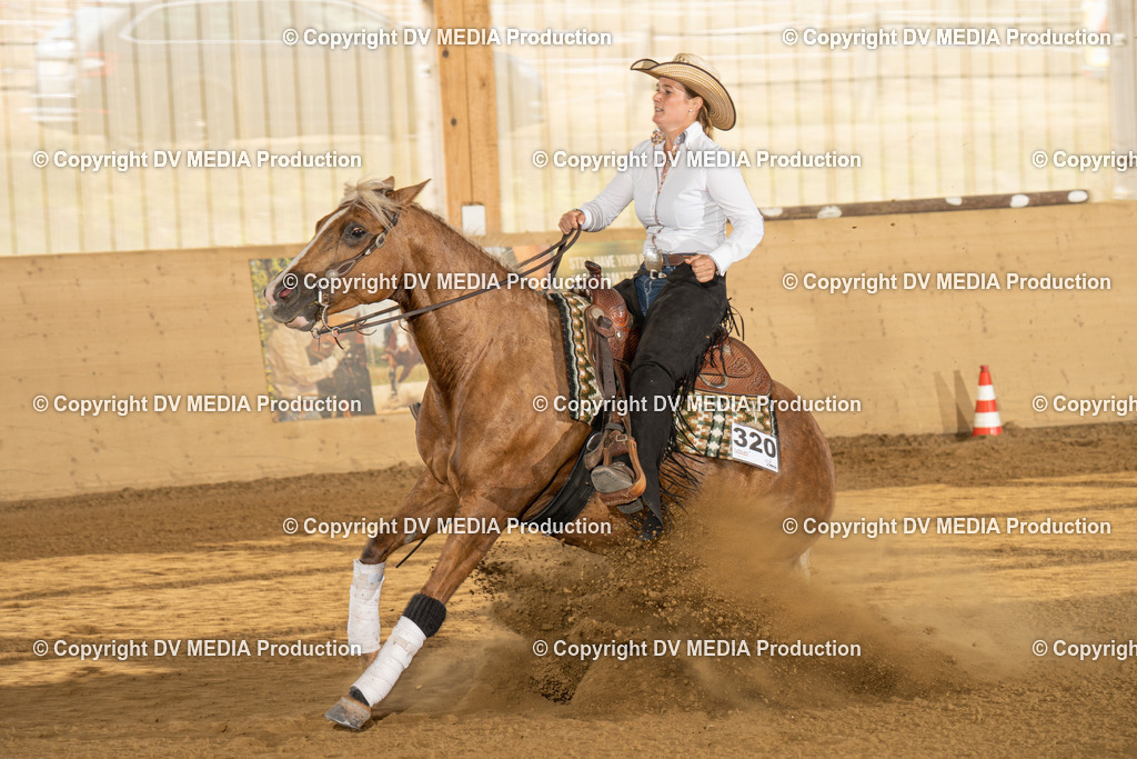 LAU01855 | dv-media-shop - Realisiert mit Pictrs.com