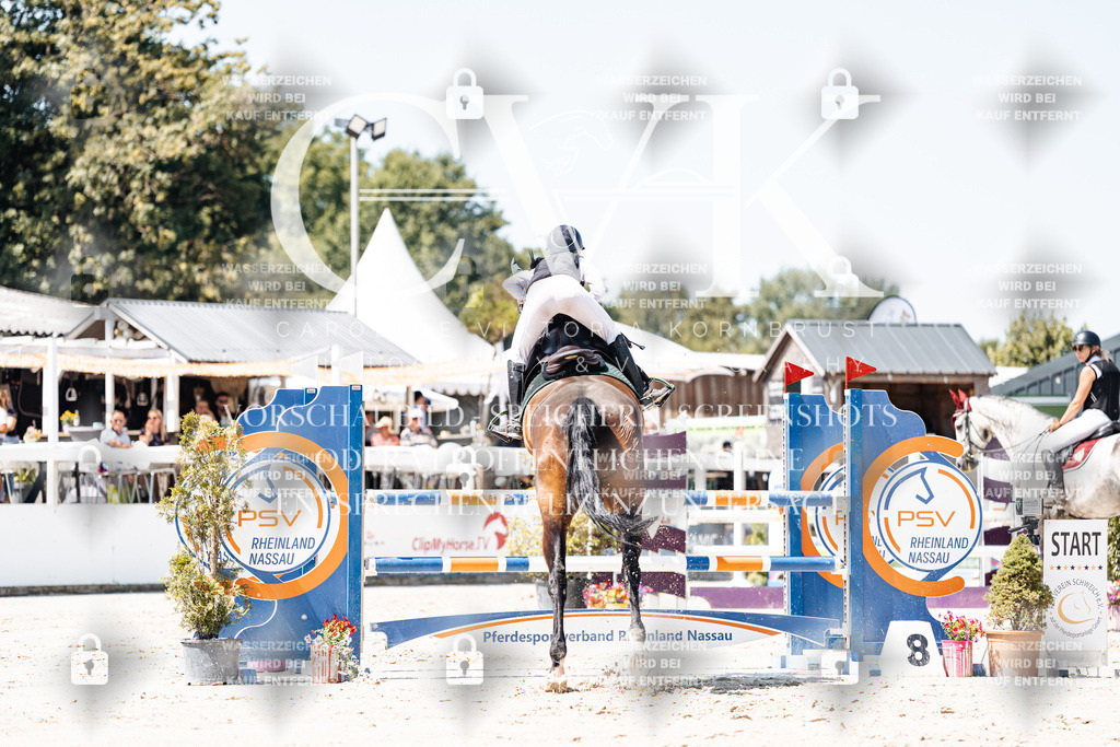 CK909656 | Turnierfotografie Pferdefotografie Trier Rheinland-Pfalz Pferdesport Reitsport Tierfotografie Sportfotografie Pferdevideo Pferdevideografie Equestrianvideography equestrianphotography  - Realisiert mit Pictrs.com