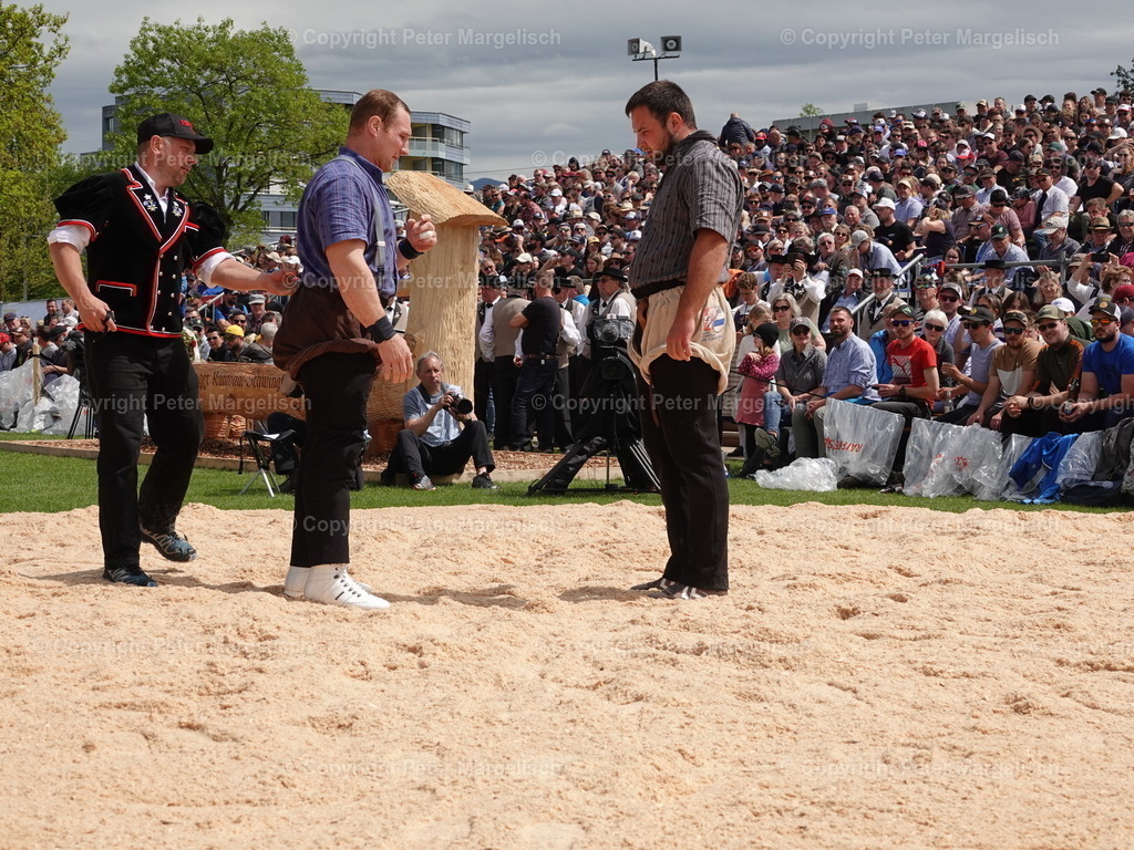 DSC06385 | Schwingen - Realisiert mit Pictrs.com