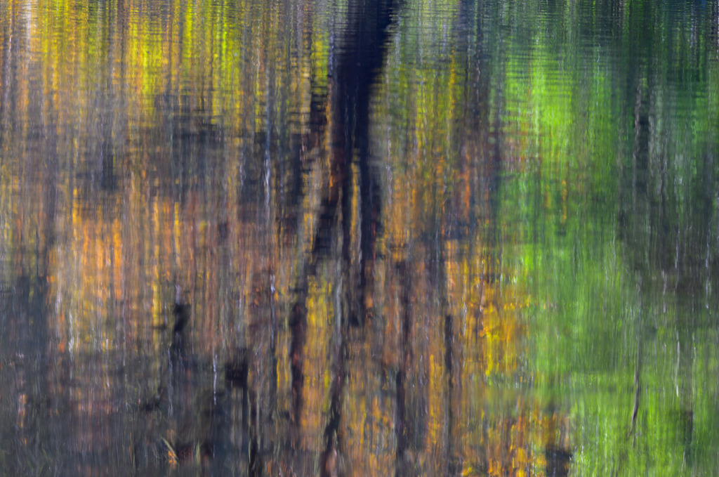 selk-schleswig-holstein-2023-346 | Leuchtendes Herbstlaub spiegelt sich auf dem Mühlenteich in Selk, Schleswig-Holstein. - Realisiert mit Pictrs.com