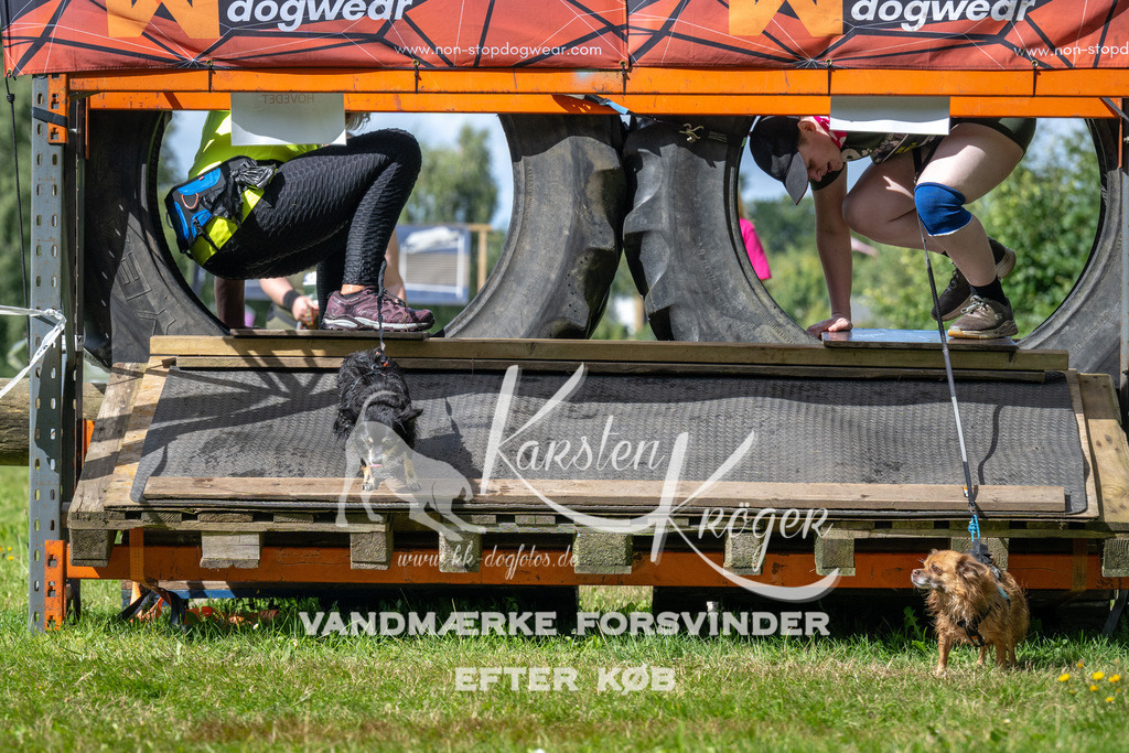 1539_ZZ93585 | kk-dogfotos