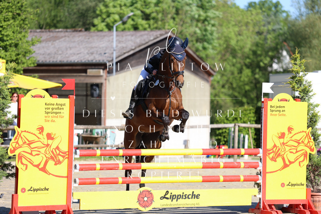 IMGS6308 | pl-fotografie