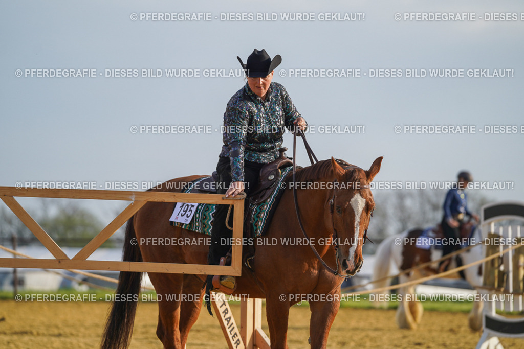 DSC00614 | Pferdegrafie