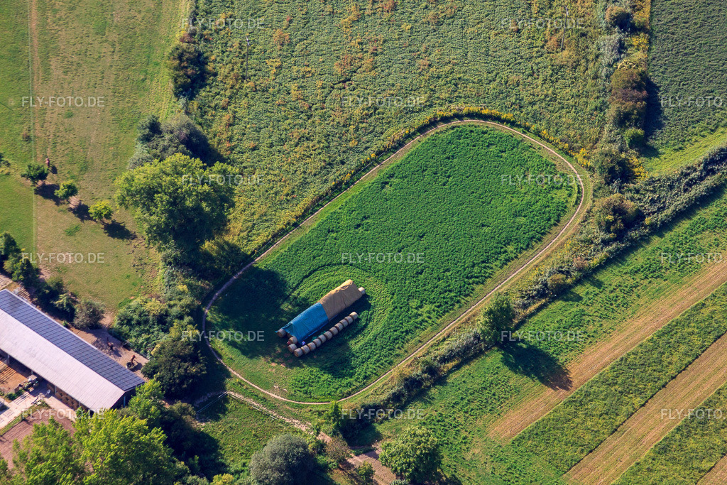 Reiterhof Kennelhof http://www.kennelhof.de/ | Luftbild: Reiterhof Kennelhof http://www.kennelhof.de/ im Ortsteil Sondernheim in Germersheim im Bundesland Rheinland-Pfalz in Deutschland. Foto: IMG_52300.jpg vom 19.08.2012 durch Werner Riehm/FLY-FOTO.de - Realisiert mit Pictrs.com