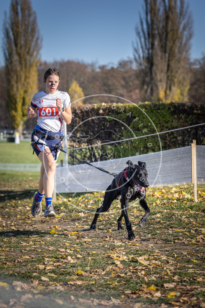 CaniXpix_DV3A9510 | Hundefotografie, Tierfotograf, Pfotenfotografie, Fotoshooting Hund, Hunde Portrait, Hundesport, Hundeportraits, Heideshooting, Hunde, Sportfotograf, Hundefotograf, Turnierhundsport, THS,  - Realisiert mit Pictrs.com