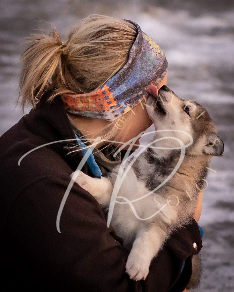 C9258B42-72E7-43FD-AF9D-BDCB851DBC09 | traudl_s_fotos