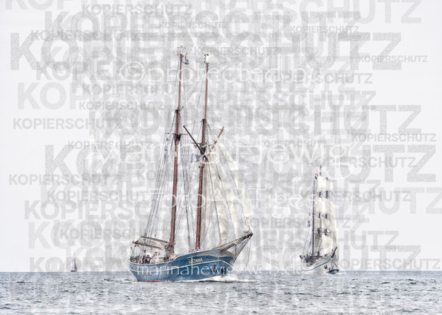 Luciana-1_MCH4219_Marina Hewig | Fotografie, FotoArt, PferdesportArt, Pferdesportfotografie, Landschaftsfotografie, Reisefotografie, Reise, Pferde - Realisiert mit Pictrs.com