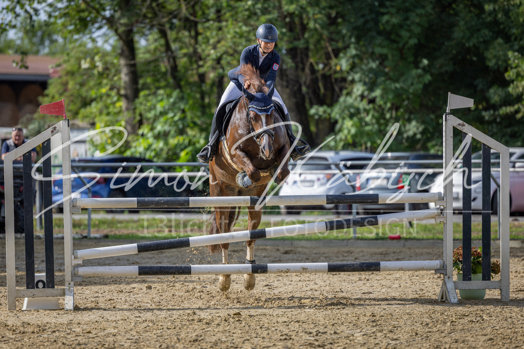 20260905-_3LI7387 | Tierfotografie Pferde, Hunde, Katzen, Haustiere.
Turnierfotografie Reitturniere, Reiten, Springreiten, Dressur in Hanau, dem Main-Kinzig-Kreis und dem Rhein-Main- Gebiet um Frankfurt