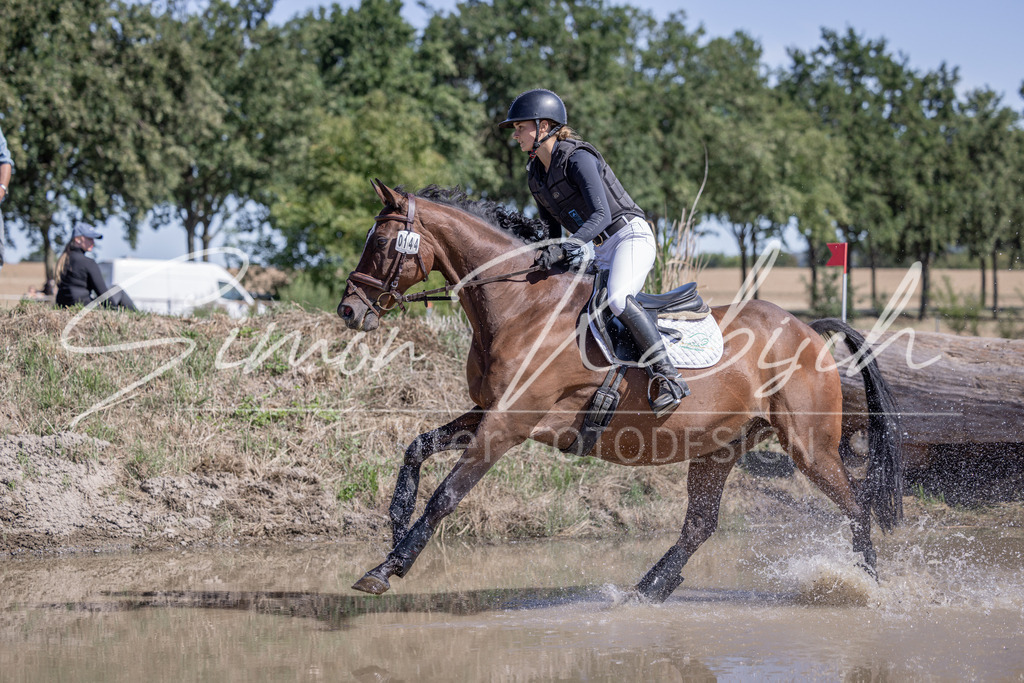 20260906-_3LI3618 | Tierfotografie Pferde, Hunde, Katzen, Haustiere.
Turnierfotografie Reitturniere, Reiten, Springreiten, Dressur in Hanau, dem Main-Kinzig-Kreis und dem Rhein-Main- Gebiet um Frankfurt