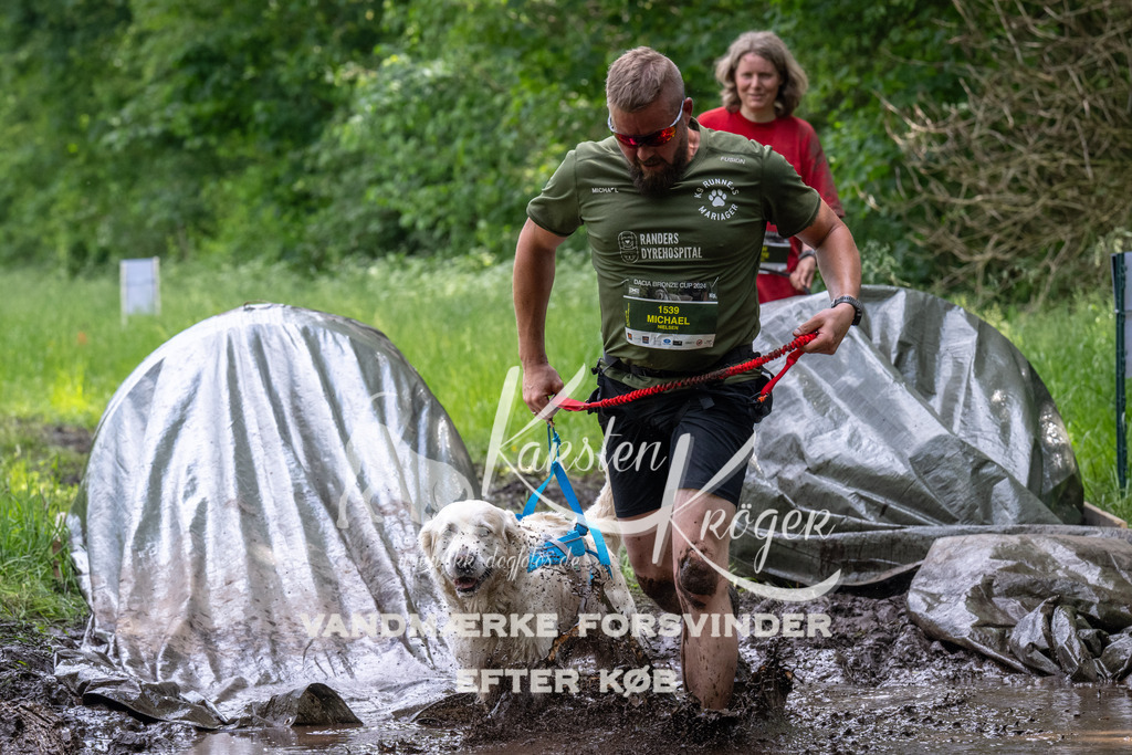 1248_ZZ93597 | kk-dogfotos