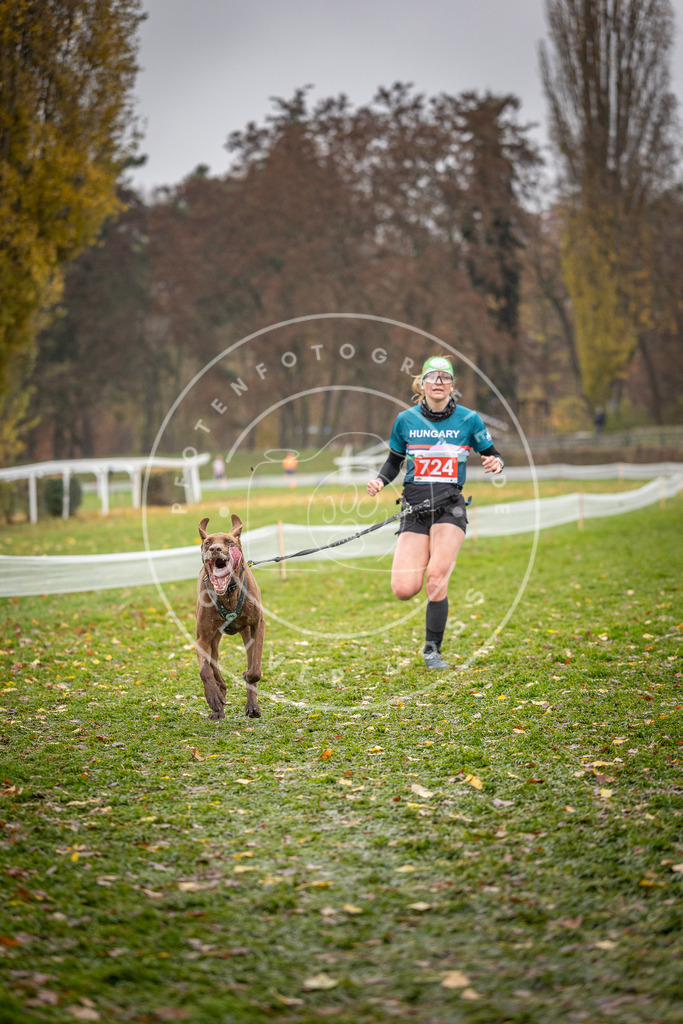 CaniXpix_DV3A9224 | Hundefotografie, Tierfotograf, Pfotenfotografie, Fotoshooting Hund, Hunde Portrait, Hundesport, Hundeportraits, Heideshooting, Hunde, Sportfotograf, Hundefotograf, Turnierhundsport, THS,  - Realisiert mit Pictrs.com