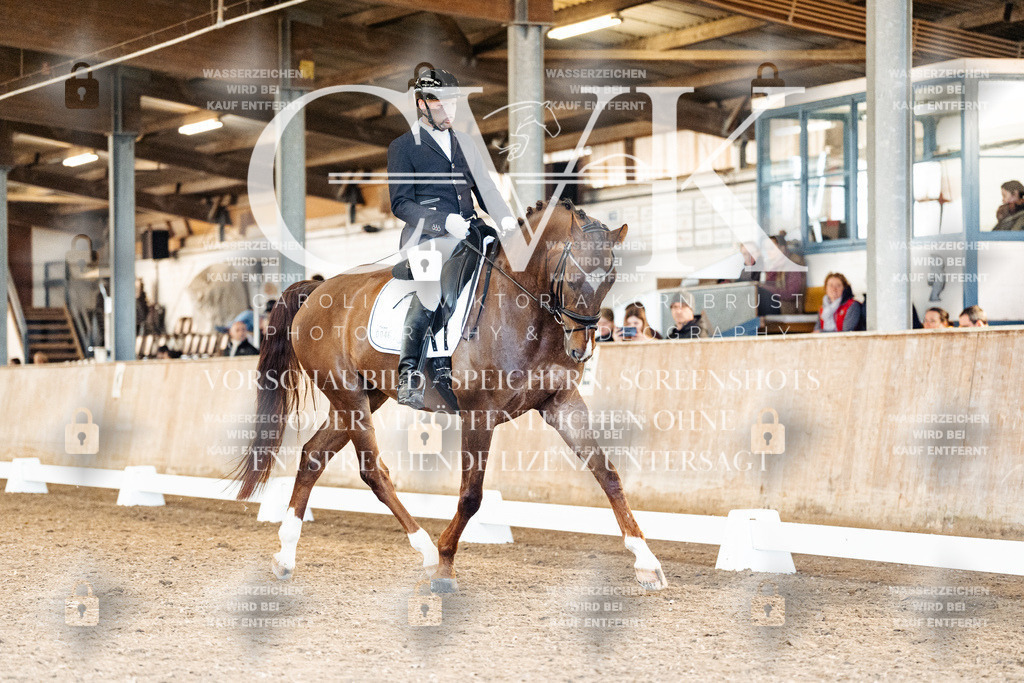 CK909406 | Turnierfotografie Pferdefotografie Trier Rheinland-Pfalz Pferdesport Reitsport Tierfotografie Sportfotografie Pferdevideo Pferdevideografie Equestrianvideography equestrianphotography  - Realisiert mit Pictrs.com