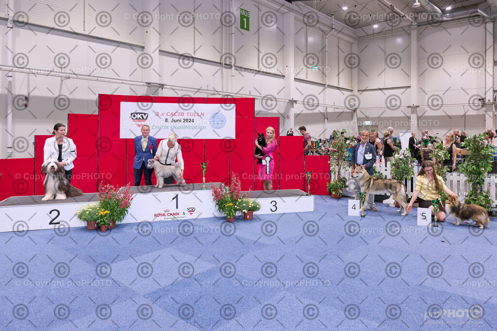 202406_ÖKV-IHA-Tulln24_NZ9_8653 | proPHOTO - Realisiert mit Pictrs.com