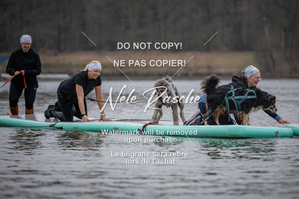 nelerasche_Hulsbeek_Sa1430-1515_192 | nelerasche