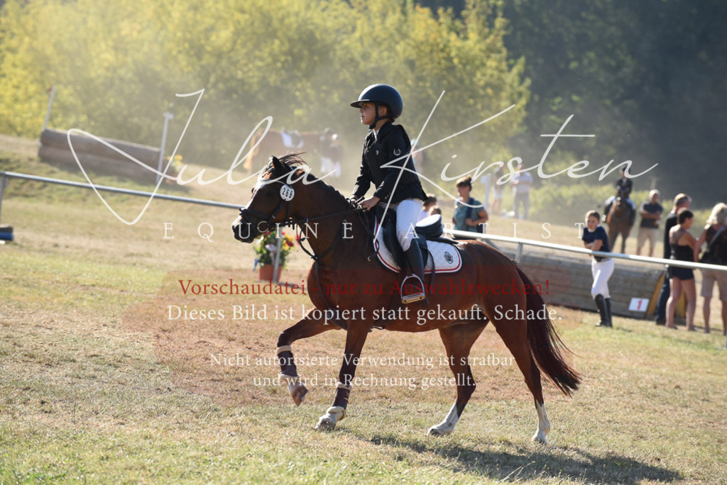 DSC_5765 | Pferde- und Turnierfotografie in Westsachsen. Pferdeportraits, Auftragszeichnungen und intuitive Kunst.