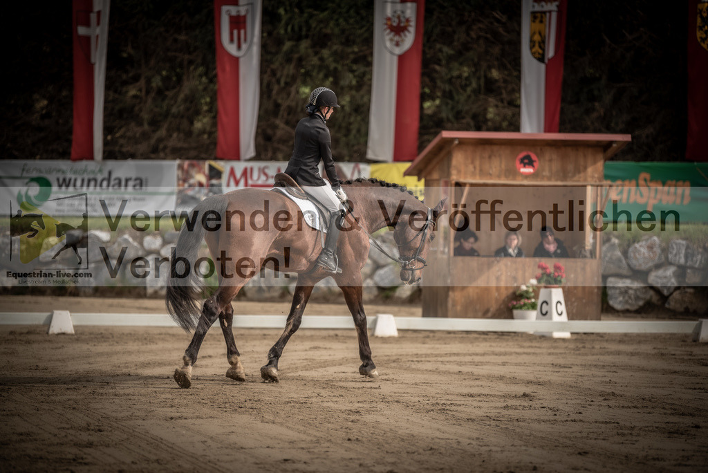 DSC_8286 | equestrian-live-com