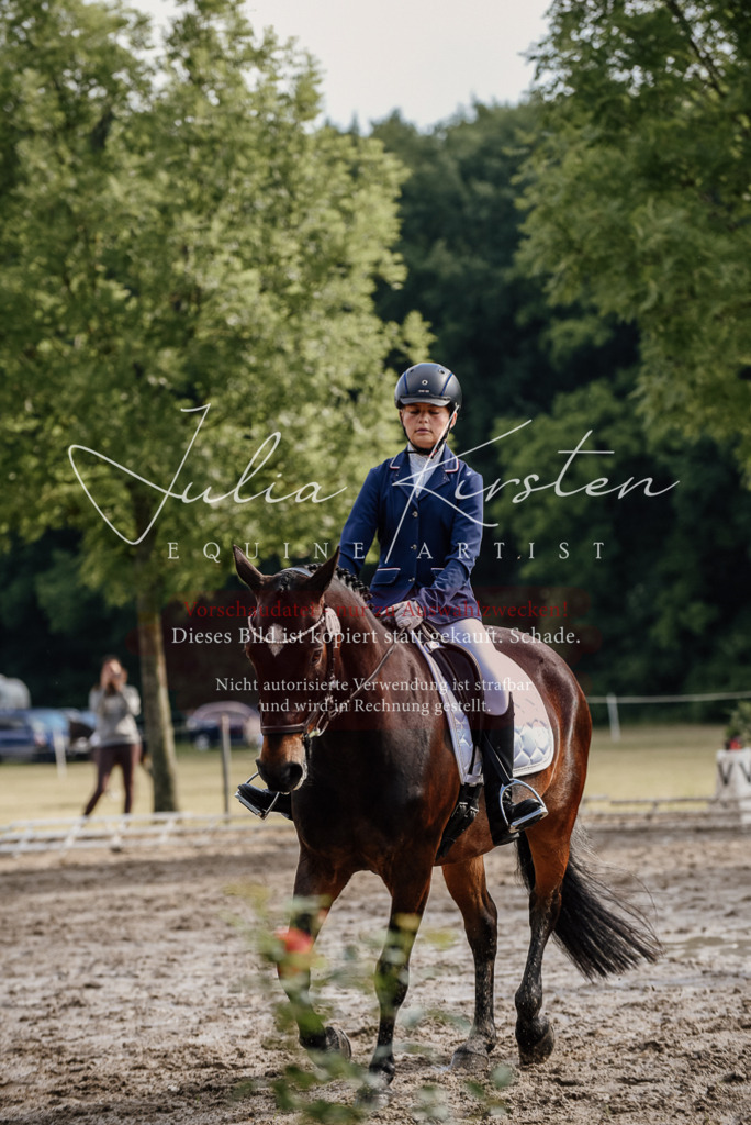 DSC_9141 | Pferde- und Turnierfotografie in Westsachsen. Pferdeportraits, Auftragszeichnungen und intuitive Kunst.