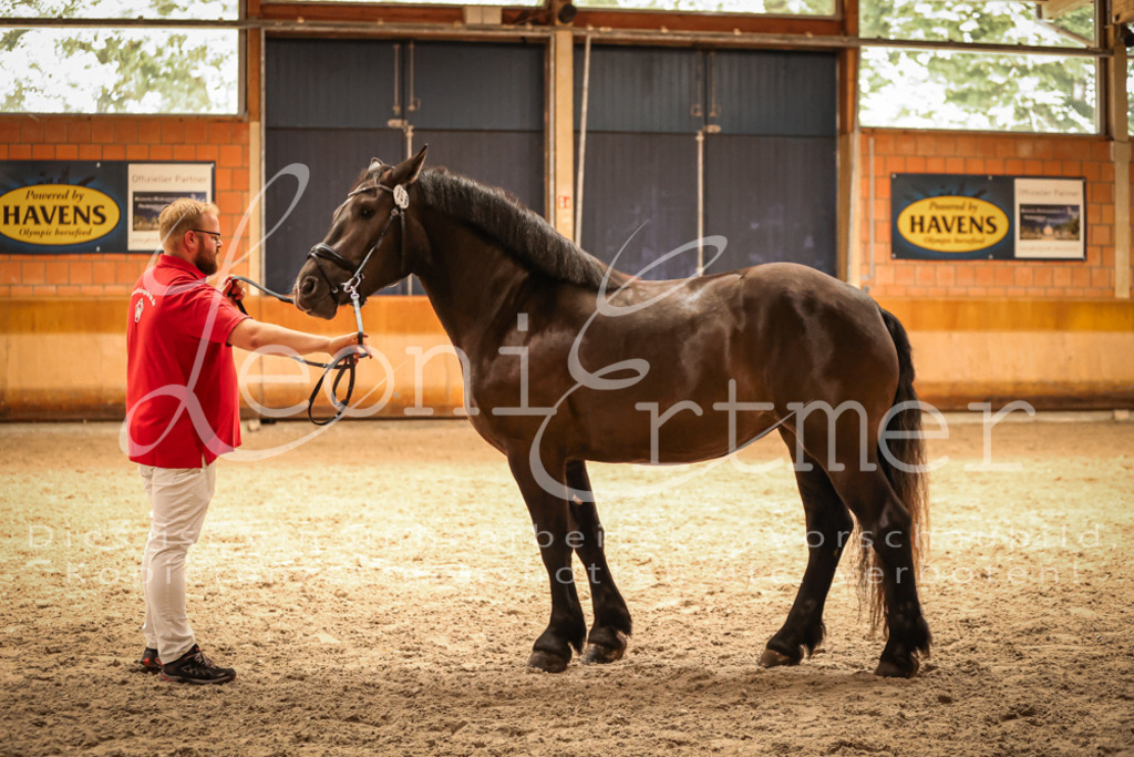 SaFL00370 | Leoni Ertmer Photography - Realisiert mit Pictrs.com