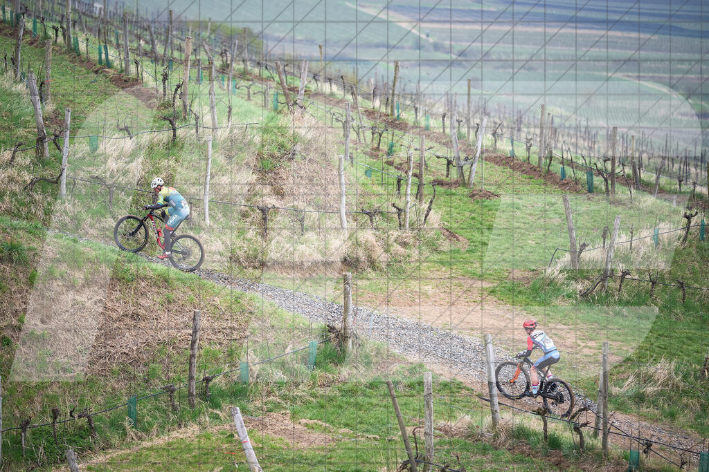34. KTM Kamptal Trophy  | ZÖBING, Österreich – 2026-03-29: 34. KTM Kamptal TrophyFoto: © 2026 Martin Bihounek - MB Creative e.U.