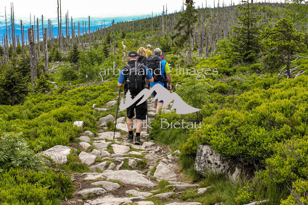 OE7A4041 | der Berg ist seit jeher Anziehungspunkt vieler Wanderer und Ausflügler. Der Grenzkamm Wanderweg im Dreiländereck