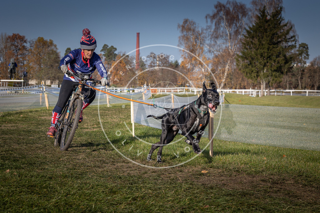 CaniXpix_0L8A7682 | Hundefotografie, Tierfotograf, Pfotenfotografie, Fotoshooting Hund, Hunde Portrait, Hundesport, Hundeportraits, Heideshooting, Hunde, Sportfotograf, Hundefotograf, Turnierhundsport, THS,  - Realisiert mit Pictrs.com